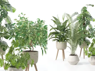 Plants collection 121 3D model