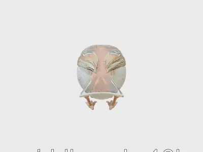 Tree Sparrow 3D Model with Detailed Textures Low-poly 3D model