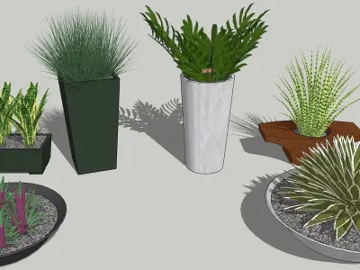 deco plants containers Low-poly 3D model