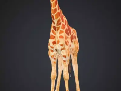 Realistic Giraffe 3D Model High Detail Safari Animal Low-poly 3D model