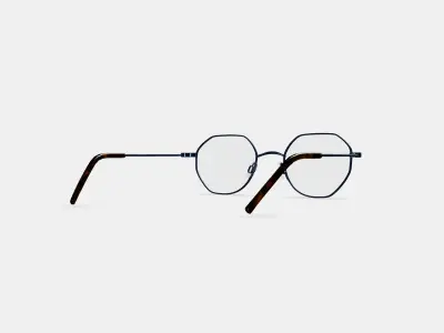 Dupree Eyeglasses in Brushed Ink 3D model
