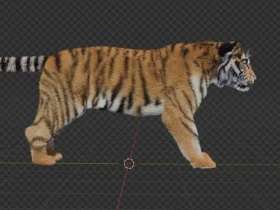 Tiger  Low-poly 3D model