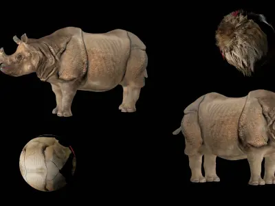 Indian Rhinoceros 3D model