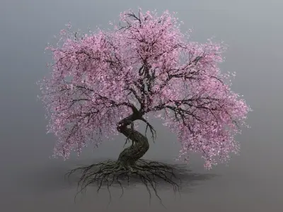 cherry tree Low-poly 3D model