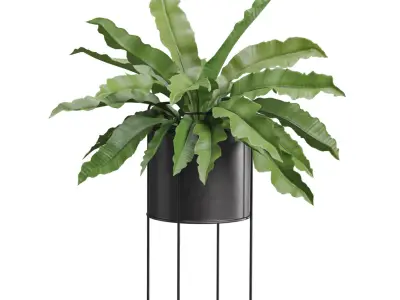 Plants Dark Metal Stand 3D model