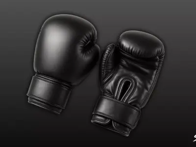 Black Boxing Gloves Low-poly 3D model