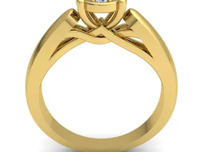 luxury Fancy Ring 58 3D print model