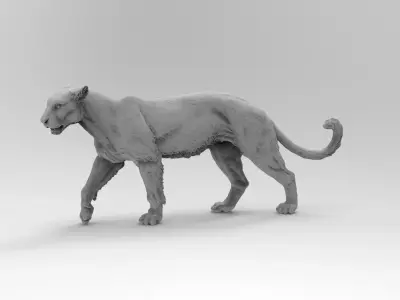 leopard 3D model