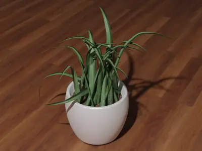 Pot Plant 3D model