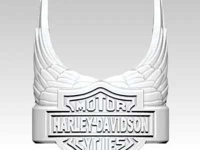 Biker Ring 3D print model