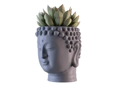 Head Buddha Vase 3D print model