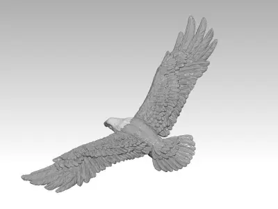 Bald eagle-3D print model 3D print model