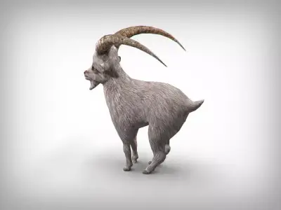 Goat low poly with long horns Low-poly 3D model