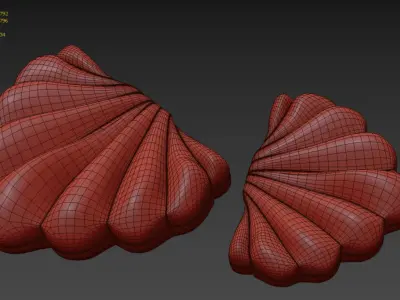 Shell pillows 3D model