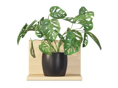 Monstera monkey mask 01 3D model