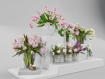 Tulip Flower Arrangement in Glass Vases 3D model