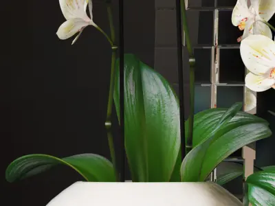 Decorative vase set 3D model