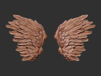 Wings 3D print model