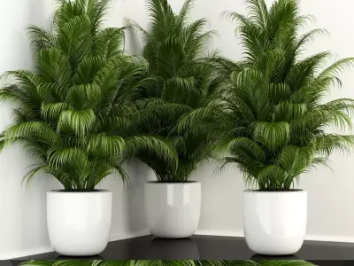 Plants collection 107  3D model