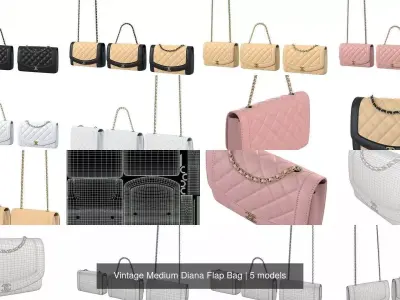 Vintage Medium Diana Flap Bag 3D Model Pack