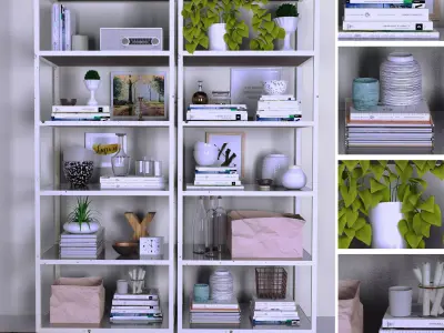 Shelves with decor 3D model