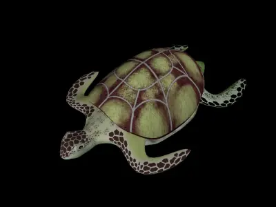 Rigged low-poly turtle  Low-poly 3D model