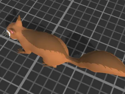 Cartoon Squirrel Low-poly 3D model