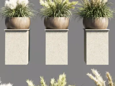 outdoor indoor pot palnt grass the dry pampas stand vase wooden 3D model