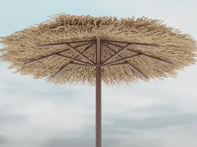 Bamboo Parasol 3D model