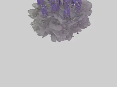 Salvia model Low-poly 3D model