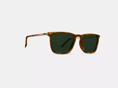 Sutton Sunglasses in Saddle Tortoise with Polished Gold Low-poly 3D model