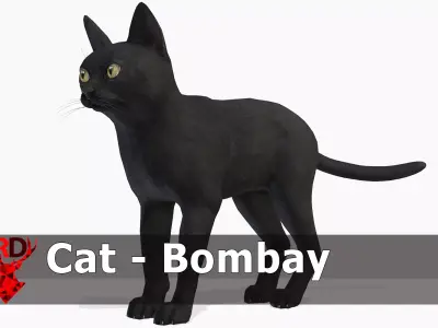 Cat - Bombay Low-poly 3D model
