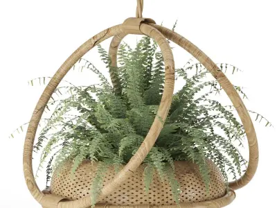 boho-hanging-plants 3D model