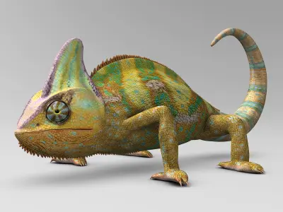 Chameleon - Color 3D model