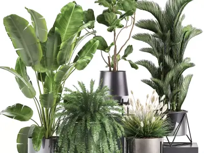 Houseplants in a rust flowerpot for the interior 996 3D model