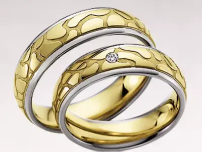 Wedding rings 007 3D print model