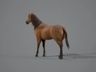 Horse Brown 3D model