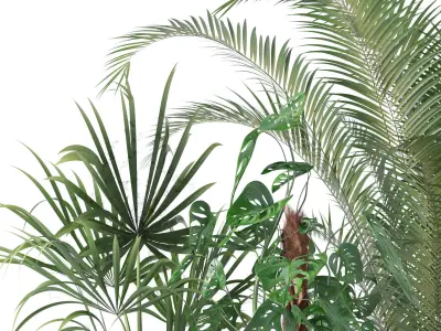 Plants collection 136 3D model