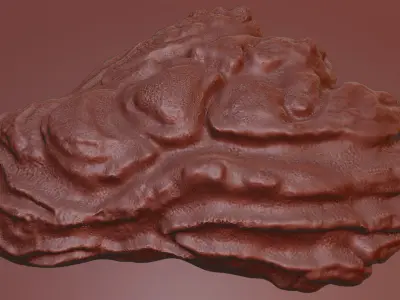  Oyster Shell Vol 8 High Detail 3D Printable Model 3D print model