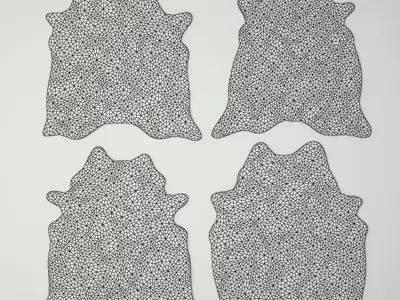 Rugs 4 zebra skin rug 3D model