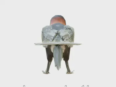 Thick-billed Raven with Massive Bill 3D Model Low-poly 3D model