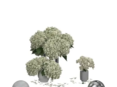 Hydrangea Peonies Vases 3D model
