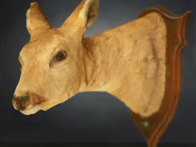 9 Animals Collection crocodile sculpture Low-poly 3D model