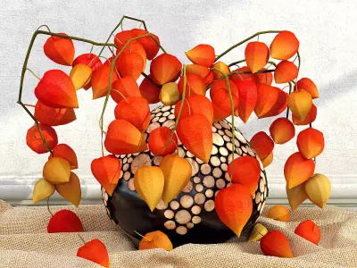 physalis in a vase 3D model