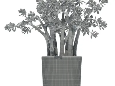 Plants collection 72 Modernica pots 3D model
