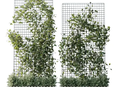 The plant on the grid 4 models and sizes with wooden box 3D model