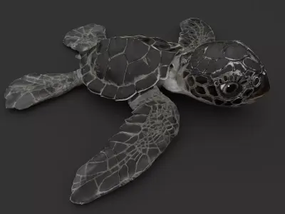 Turtle 3D model