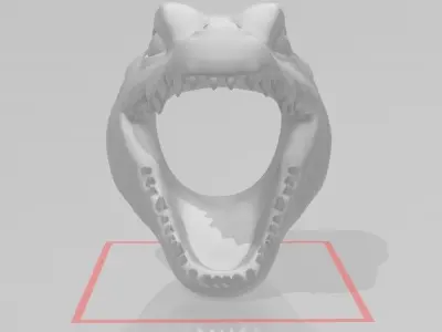 Crocodile Head 3D model