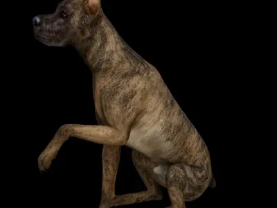 5 stand alone obj-11 3D model