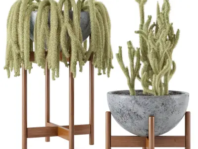 Indoor Cactus Plants in concrete Pot - Set 18 3D model